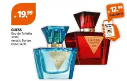 Müller Guess Angebot