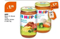 Müller Hipp Angebot