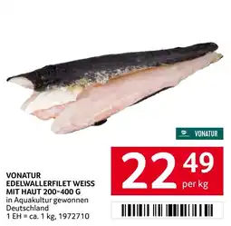 Transgourmet Edelwallerfilet weiss mit haut Angebot