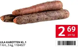 Transgourmet Lila karotten kl.1 Angebot