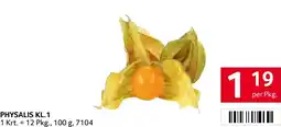 Transgourmet Physalis kl.1 Angebot