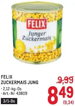 Metro Felix zuckermais jung Angebot