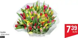 Metro Tulpen Angebot