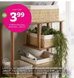 Mömax Aufbewahrungs körbchen sally Angebot