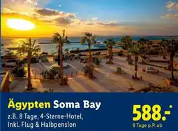 Lidl Reisen Ägypten Soma Bay Angebot