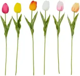 XXXLutz Deko-Tulpe Angebot