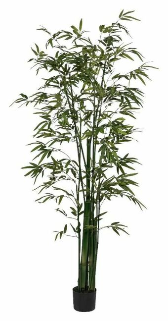Mömax Kunstpflanze Bambus Angebot