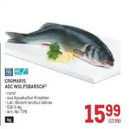 Metro ASC WOLFSBARSCH Angebot