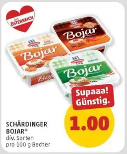 PENNY SCHÄRDINGER BOJAR Angebot