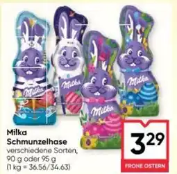 Maximarkt Schmunzelhase Angebot