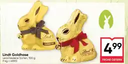 Maximarkt Lindt Goldhase Angebot