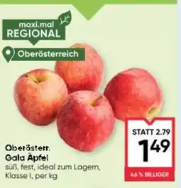 Maximarkt Gala Äpfel Angebot