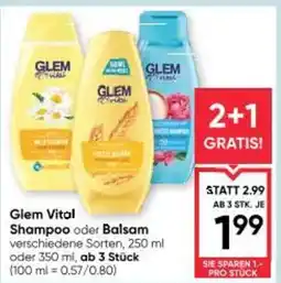 Maximarkt Shampoo Balsam Angebot