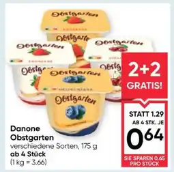 Maximarkt DANONE OBSTGARTEN Angebot