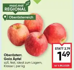 Maximarkt Oberösterr. Gala Äpfel Angebot