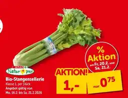 Interspar Bio Stangensellerie Angebot