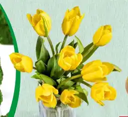Spar Tulpensträuße Angebot