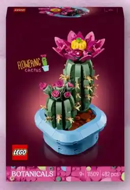 Interspar Lego Botanicals Kakteen 11509 Angebot