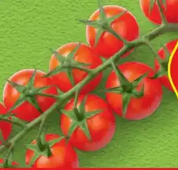 Hofer Hofer Marktplatz Cherrytomaten Angebot
