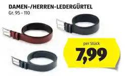Hofer Damen herren ledergürtel Angebot