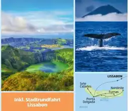 Hofer Hofer-Reisen Azoren Sternfahrt Angebot