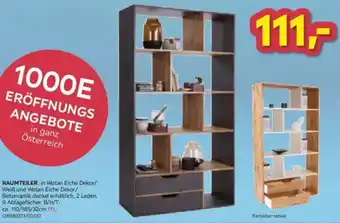 Möbelix Raumteiler Angebot
