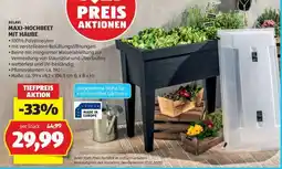 Hofer BELAVI MAXI-HOCHBEET MIT HAUBE Angebot