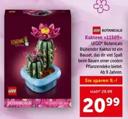 Interspar Kakteen 11509 Angebot