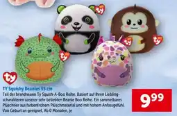 Interspar TY Squishy Beanies 35 cm Angebot