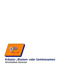 Action Kräuter, blumen oder gemüsesamen Angebot