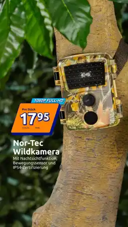 Action Nor Tec Wildkamera Angebot