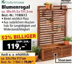 Norma Blumenregal Angebot