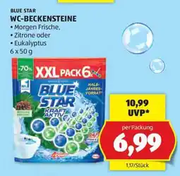 Hofer WC BECKENSTEINE Angebot