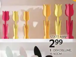 XXXLutz Dekoblume Angebot