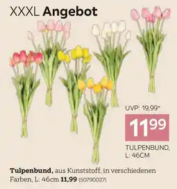XXXLutz Tulpenbund Angebot