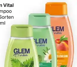 Bipa Schwarzkopf Glem Vital Shampoo Angebot