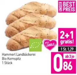 Sutterlüty Hammerl Landbäckerei Bio Kornspitz Angebot