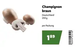 Eurogast Grissemann Champignon braun Angebot