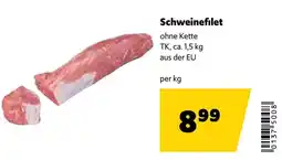 Eurogast Grissemann Schweinefilet Angebot