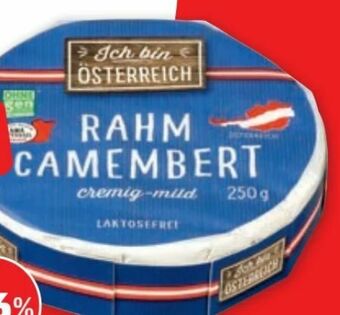 PENNY Rahm Camembert Angebot