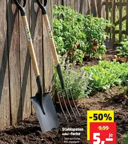 Thomas Philipps Stahlspaten oder forke Angebot