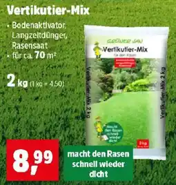 Thomas Philipps Vertikutier Mix Angebot