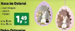 Thomas Philipps Hase im Osterei Angebot