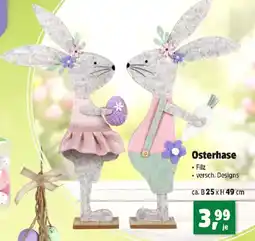 Thomas Philipps Osterhase Angebot