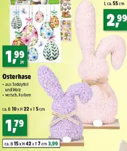 Thomas Philipps Osterhase Angebot