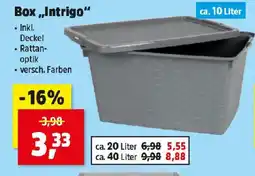 Thomas Philipps Box Intrigo Angebot
