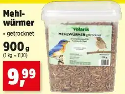 Thomas Philipps Mehl würmer Angebot