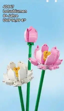 Lego Lotusblumen Angebot