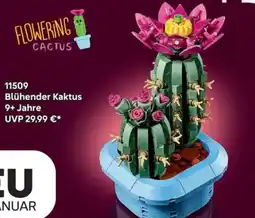 Lego Blühender Kaktus Angebot