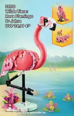 Lego Wilde Tiere: Rosa Flamingo Angebot